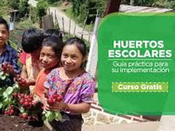 Implementación De Huertos Escolares