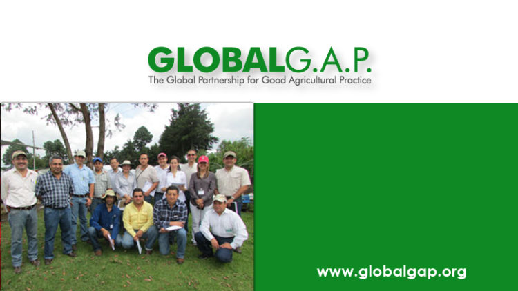Agrequima es el host de GLOBALG.A.P.