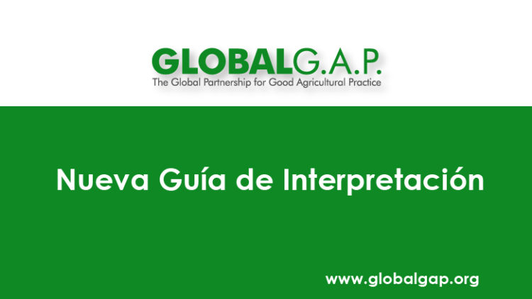 Nueva guía de interpretación